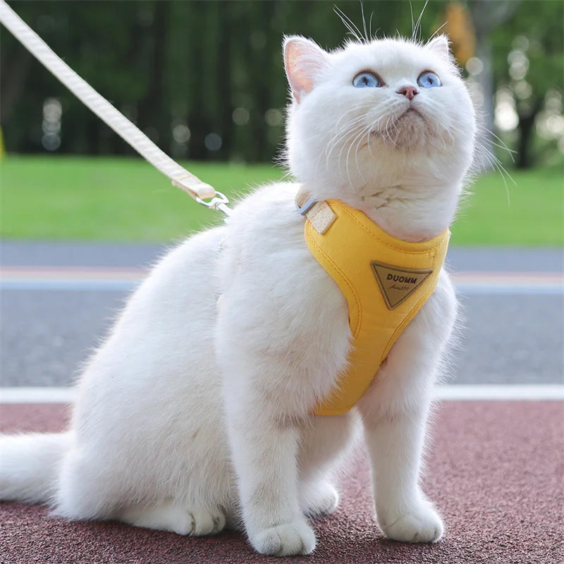 Harnais et Laisse pour Chat et Petit Chien – Prêt pour la balade