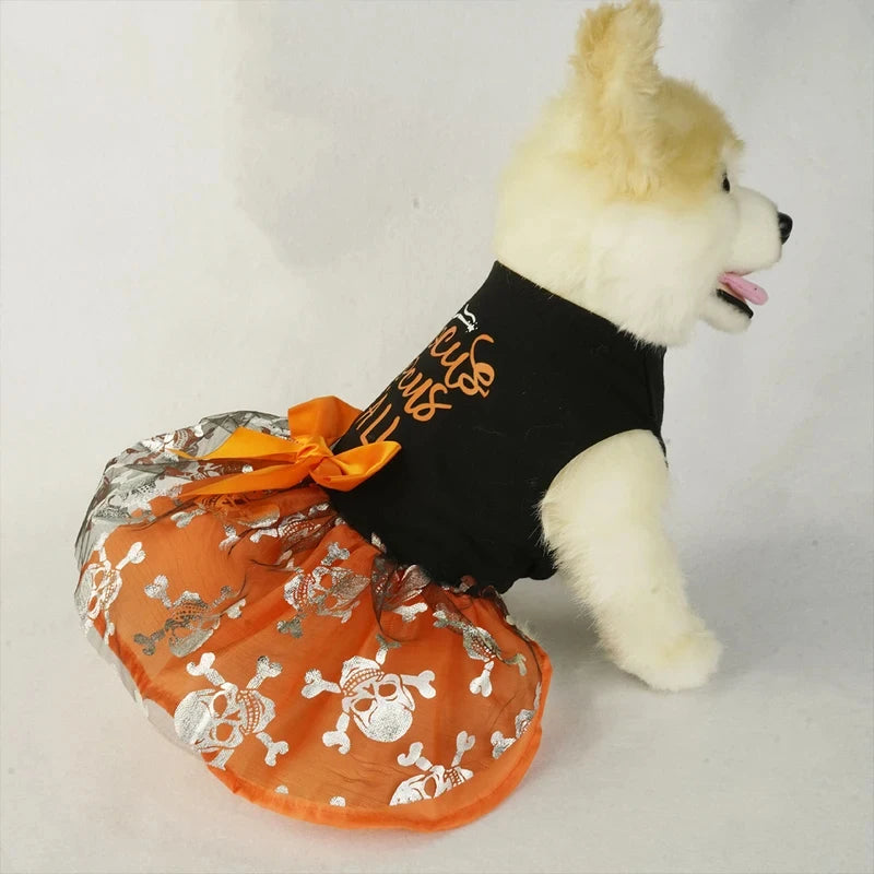 Robe Halloween pour Chien – Hocus Pocus Y'all 🎃