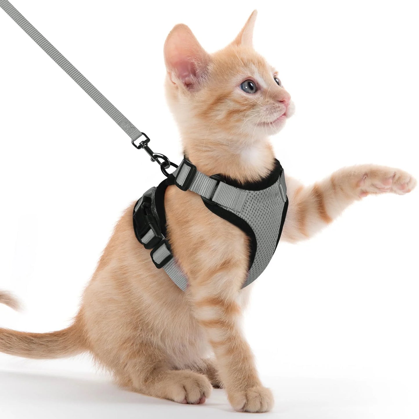 Harnais Anti-Évasion pour Chat