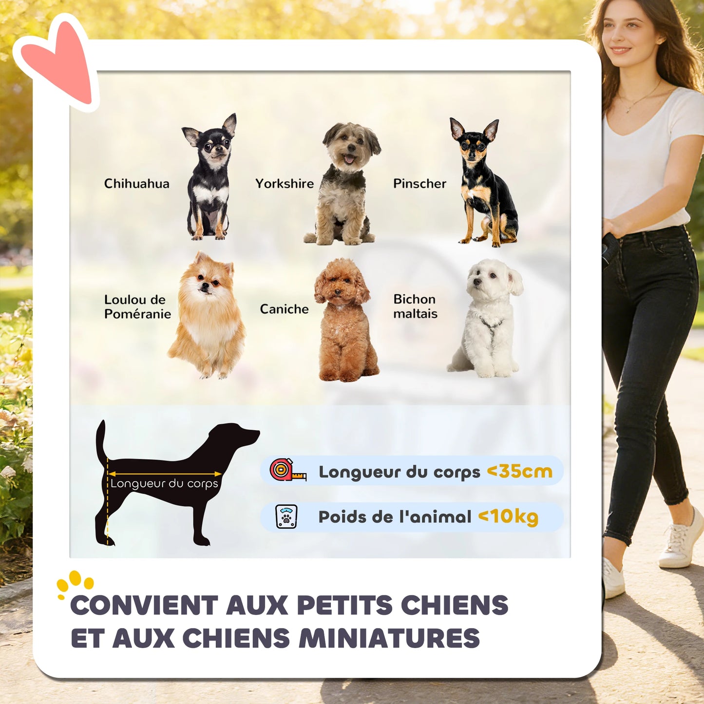 Poussette pour Chien – Légère, Pliable & Sécurisée jusqu'à 10 kg