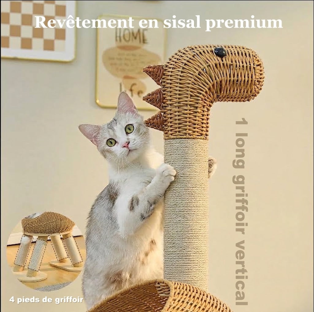 Arbre à Chat Dinosaure en Rotin 🦕