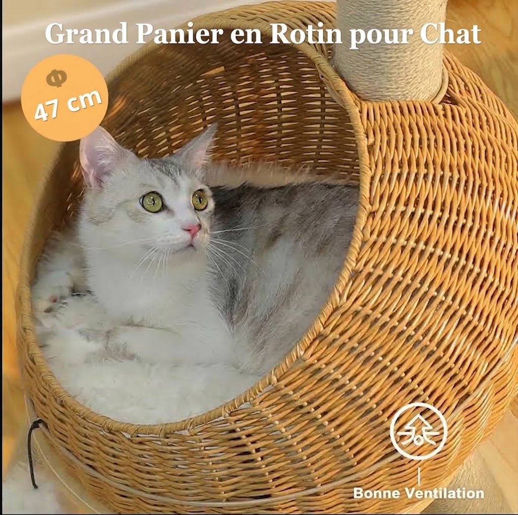 Arbre à Chat Dinosaure en Rotin 🦕