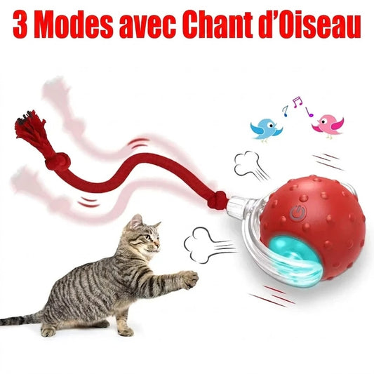 Balle Interactive pour Chat – Elle joue même sans toi !