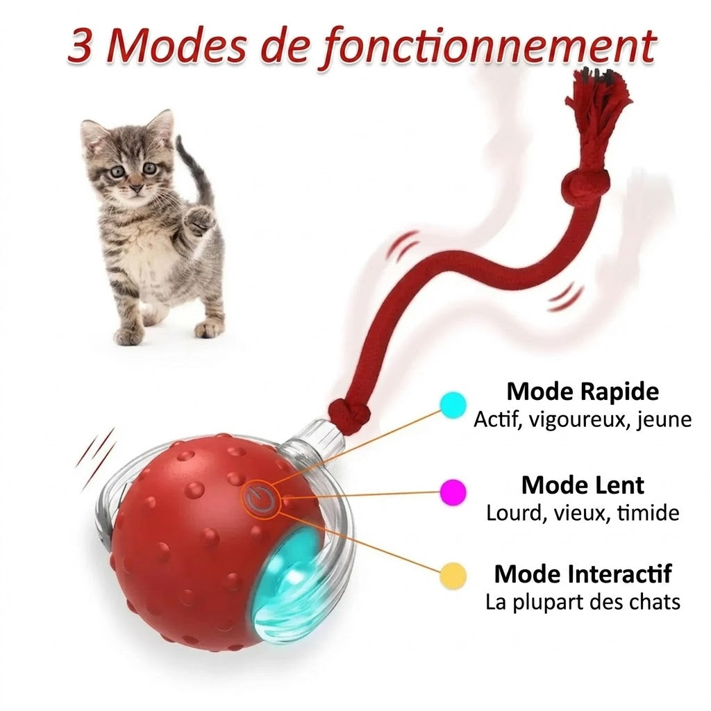 Balle Interactive pour Chat – Elle joue même sans toi !