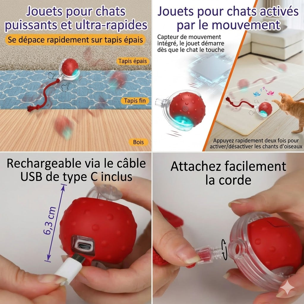 Balle Interactive pour Chat – Elle joue même sans toi !