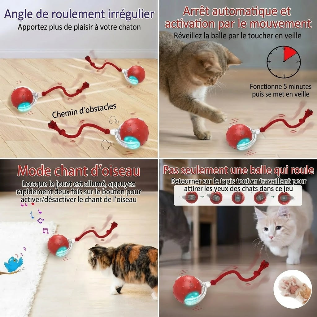 Balle Interactive pour Chat – Elle joue même sans toi !