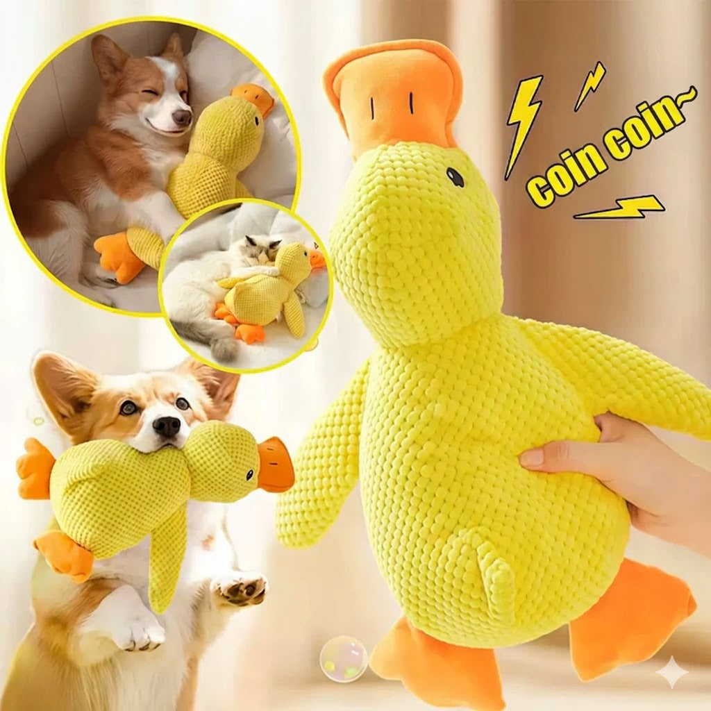 Jouet Sonore en Peluche pour Chien – Il adore, tu adores