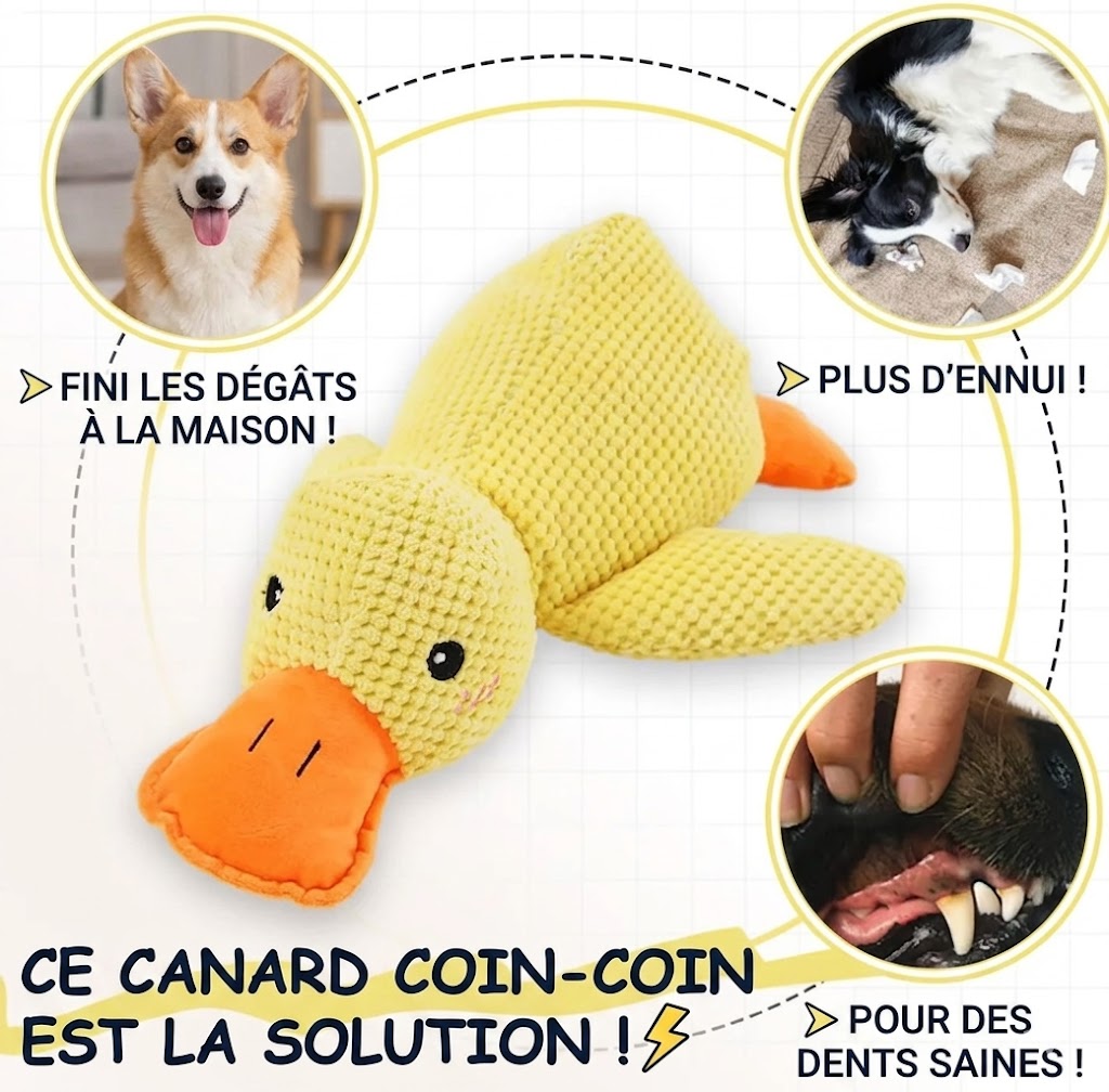 Jouet Sonore en Peluche pour Chien – Il adore, tu adores