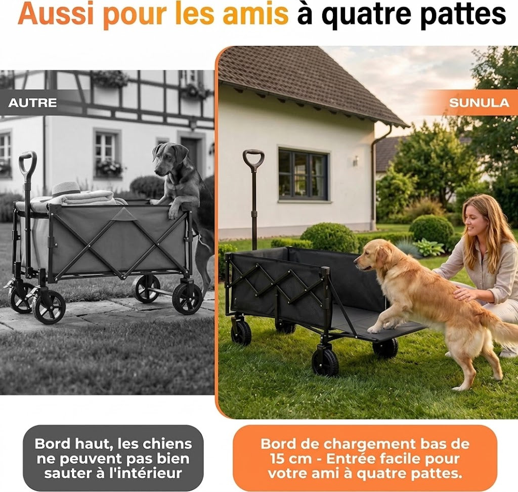 Chariot pliable pour chien – Hayon rabattable et tout-terrain