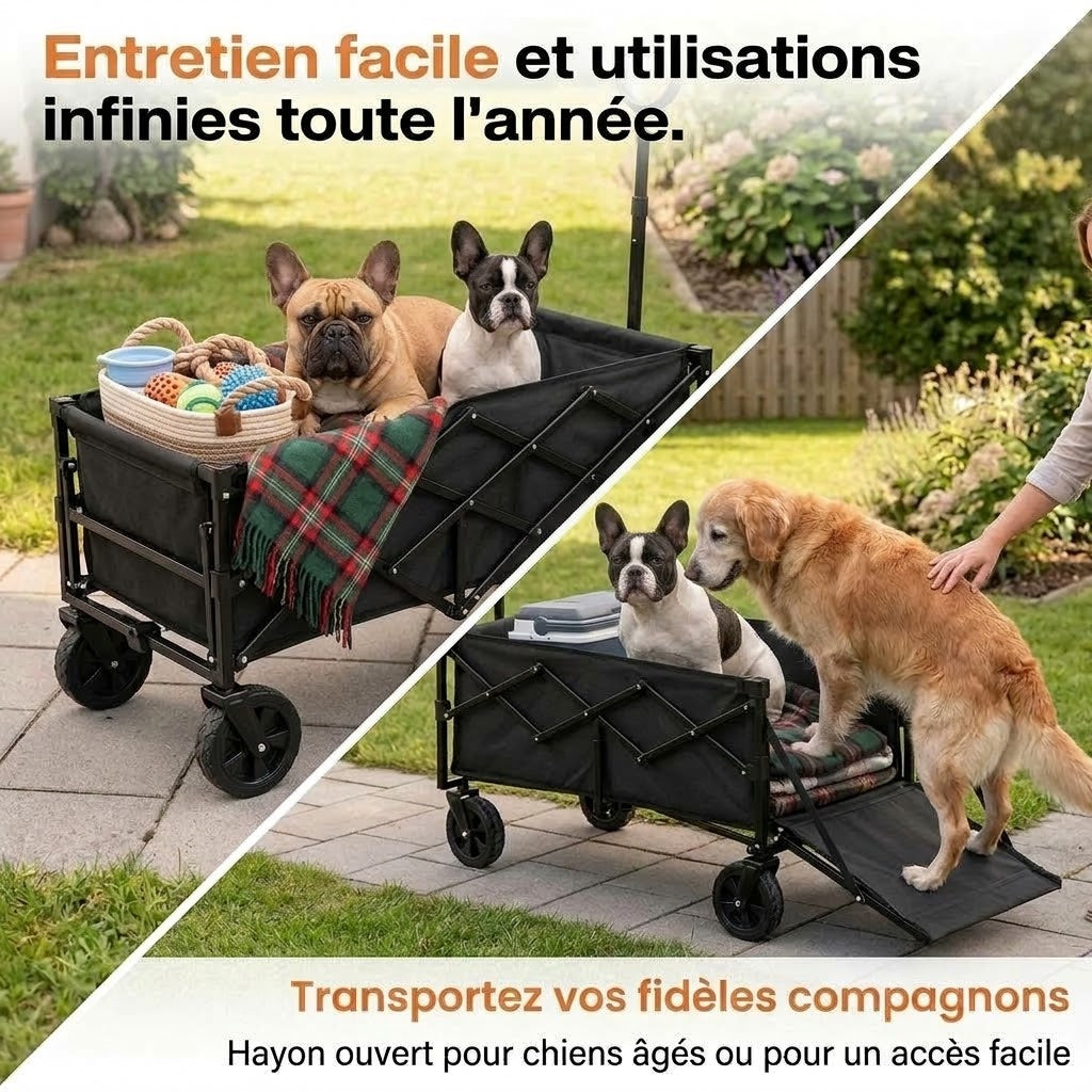 Chariot pliable pour chien – Hayon rabattable et tout-terrain