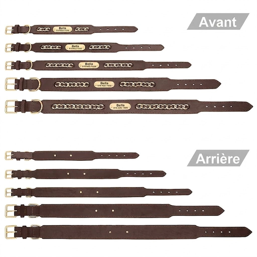 Collier en Cuir Personnalisé pour Chien – Élégant et unique