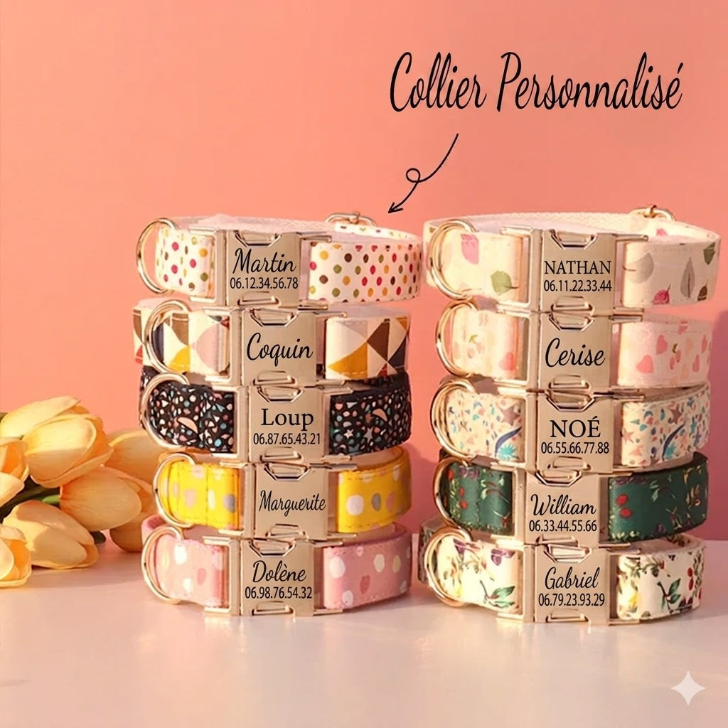 Collier Nylon Fantaisie Personnalisé pour Chien – Fun et personnalisé
