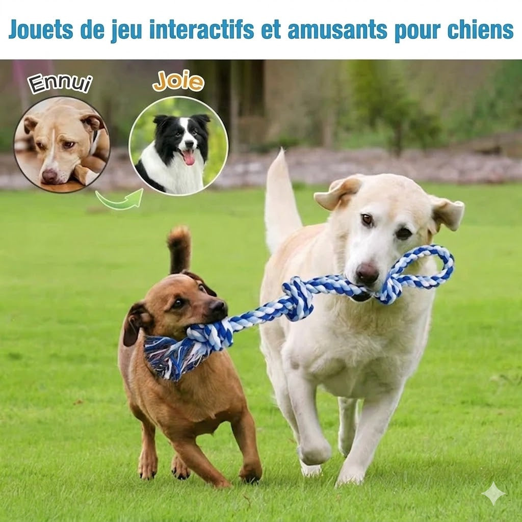 Jouet à Nœuds en Corde pour Chien – Résistant à toutes les mâchoires