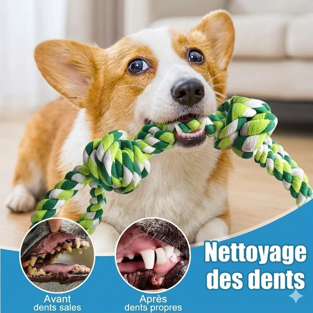 Jouet à Nœuds en Corde pour Chien – Résistant à toutes les mâchoires