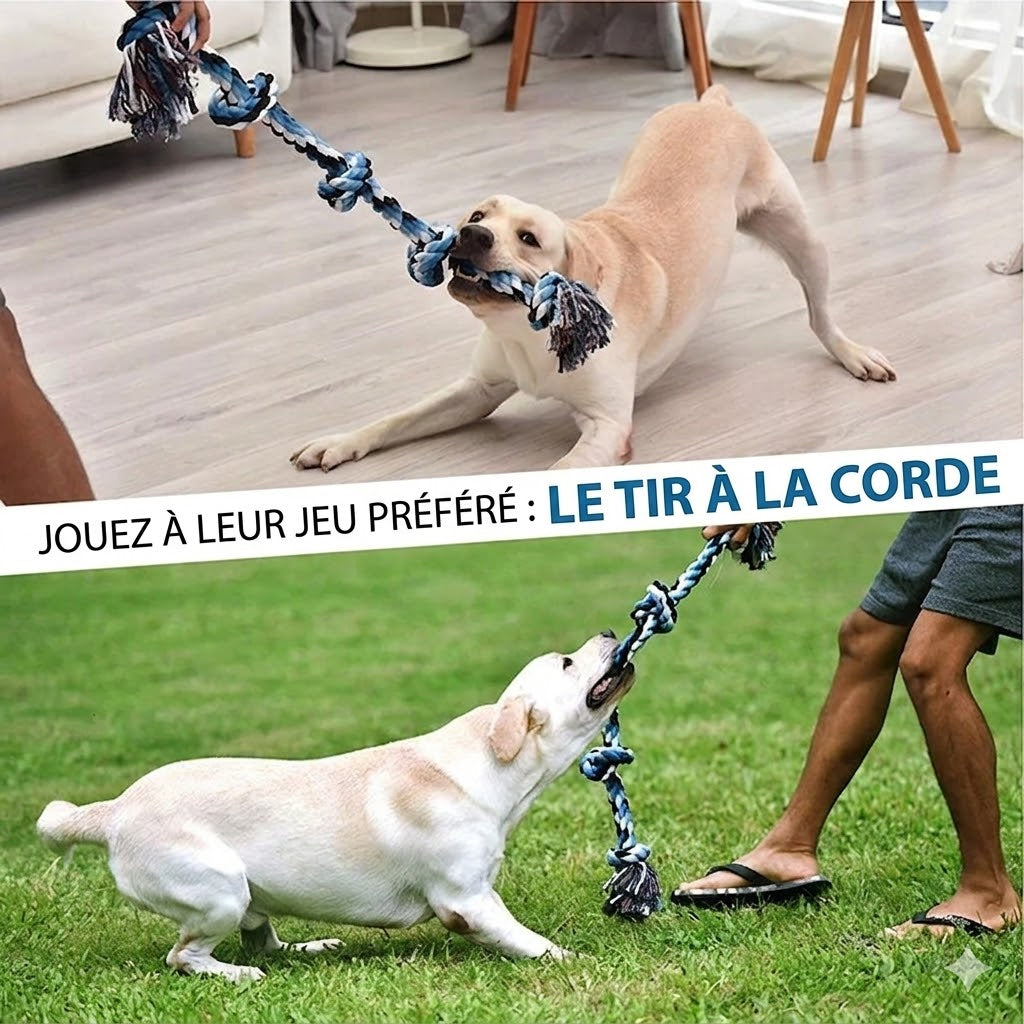 Jouet à Nœuds en Corde pour Chien – Résistant à toutes les mâchoires