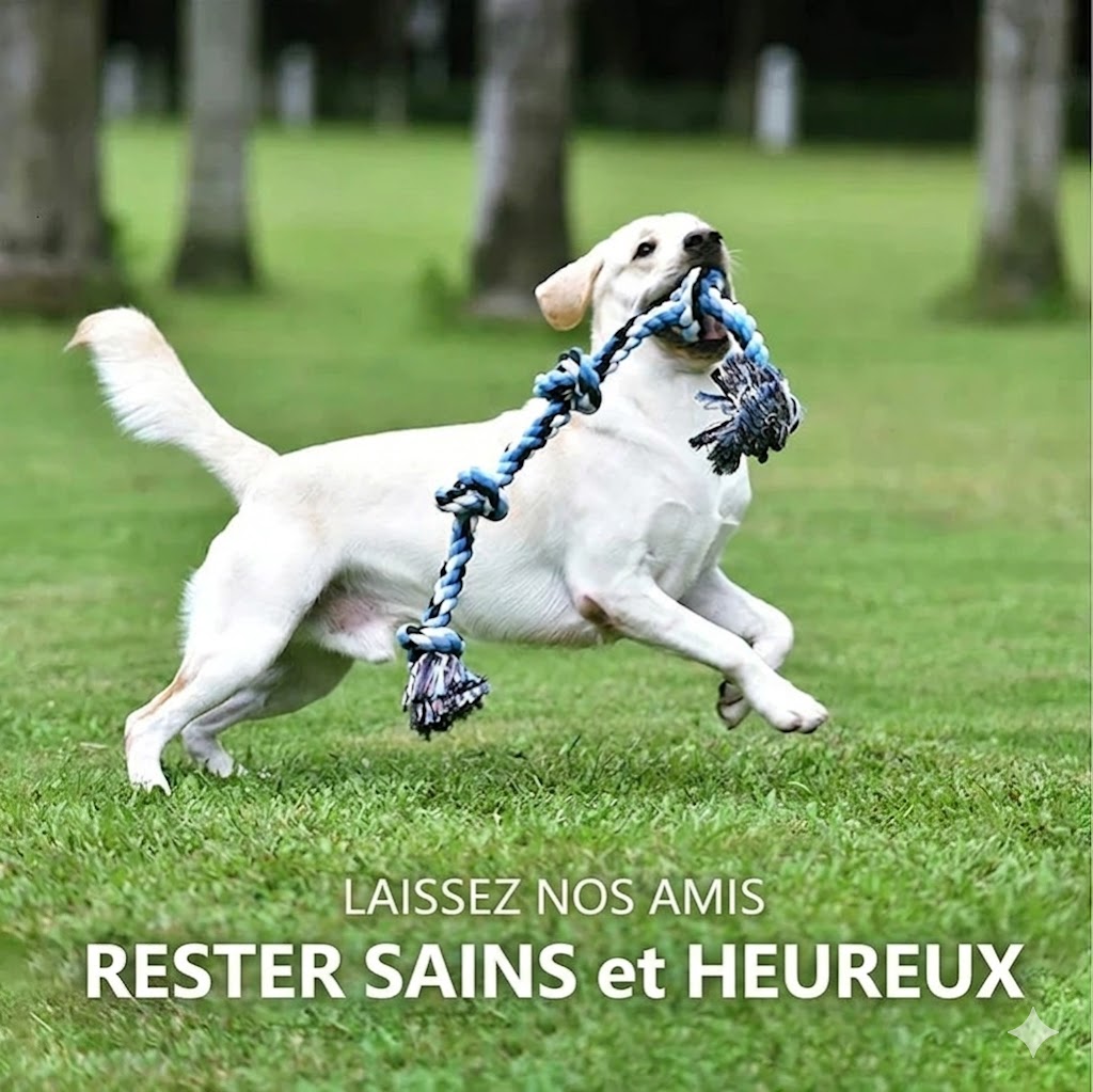 Jouet à Nœuds en Corde pour Chien – Résistant à toutes les mâchoires