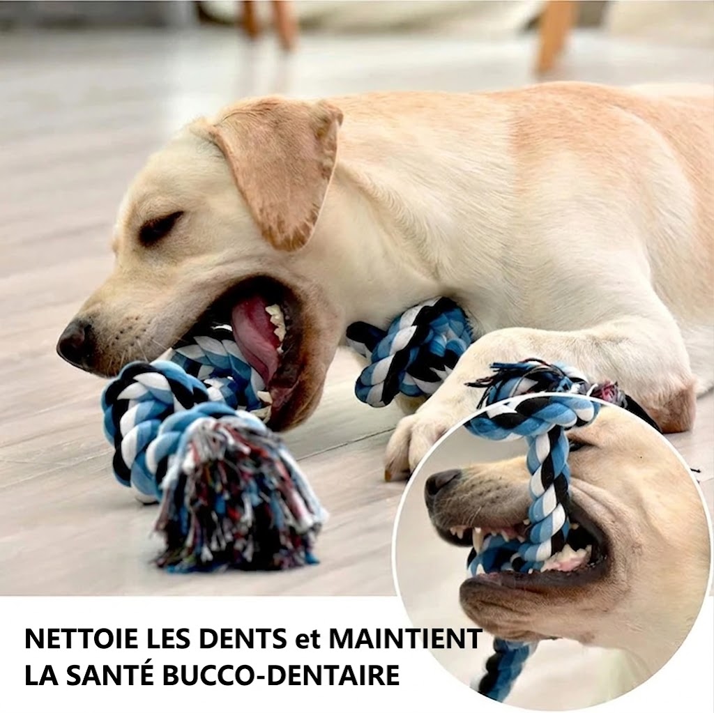 Jouet à Nœuds en Corde pour Chien – Résistant à toutes les mâchoires