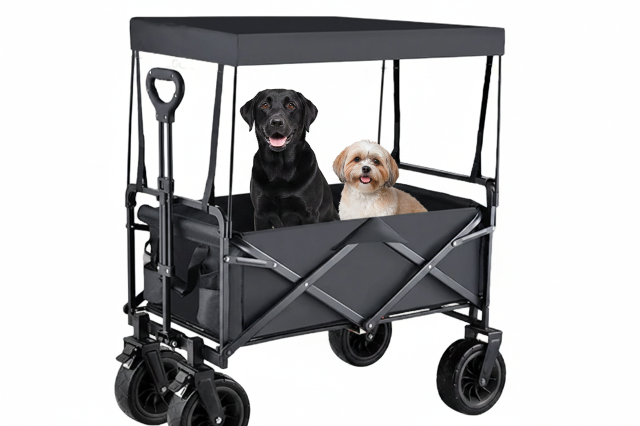Deux chiens dans le chariot