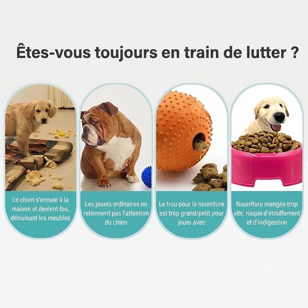 Jouet Distributeur Interactif pour Chien –  Frisbee & Distributeur de Friandises