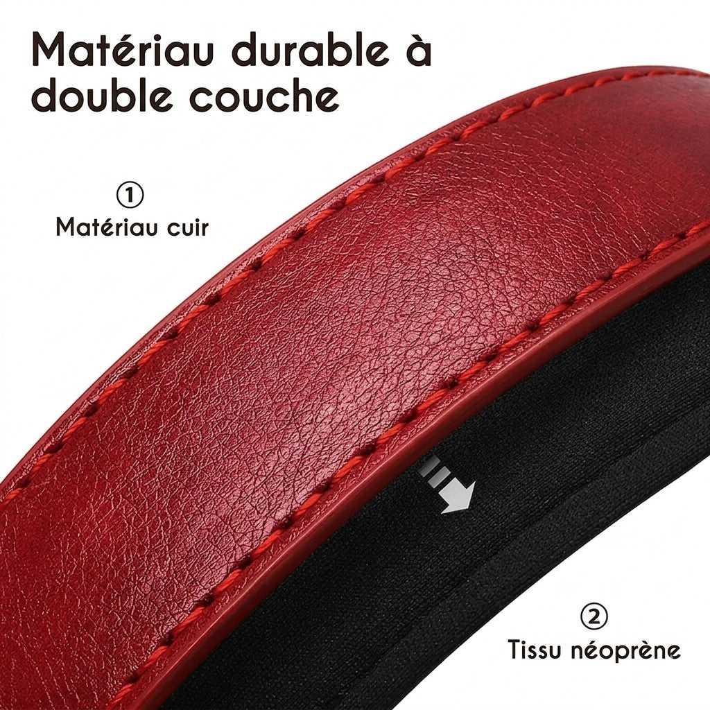 Collier en Cuir PU Personnalisé pour Chien – Chic et personnalisé