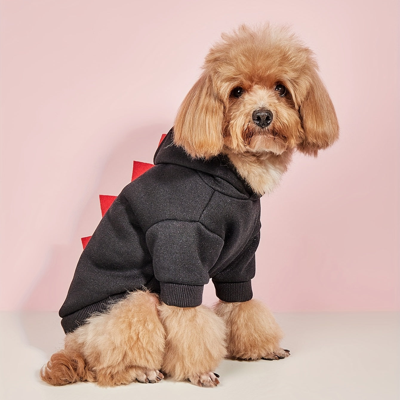 Costume Dinosaure pour Chat et Chien – Le déguisement qui fait rire