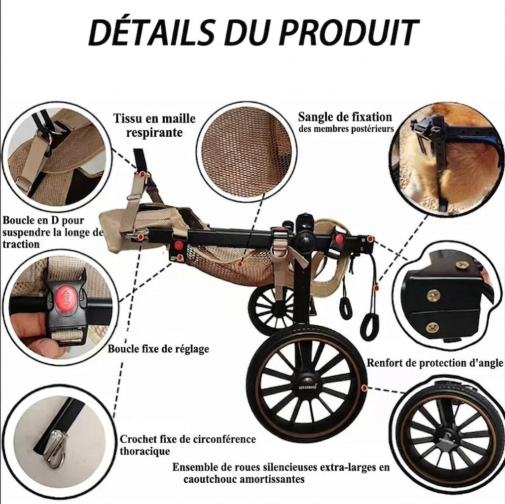 Fauteuil Roulant pour Chien – Réhabilitation Pattes Arrière, Grandes Tailles