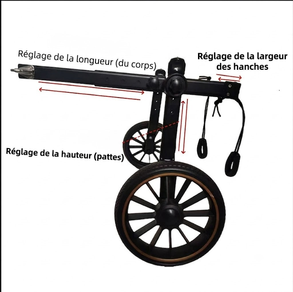 Fauteuil Roulant pour Chien – Réhabilitation Pattes Arrière, Grandes Tailles
