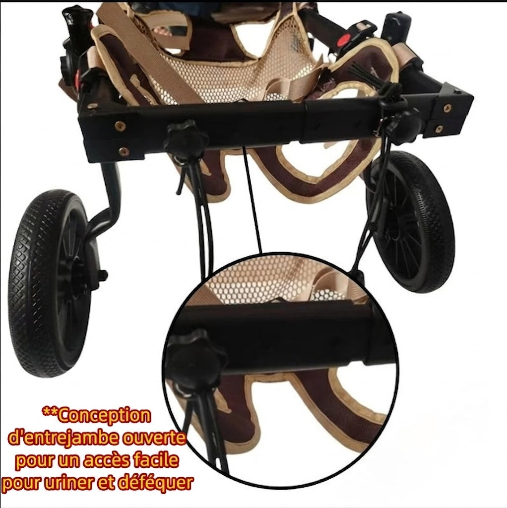 Fauteuil Roulant pour Chien – Réhabilitation Pattes Arrière, Grandes Tailles
