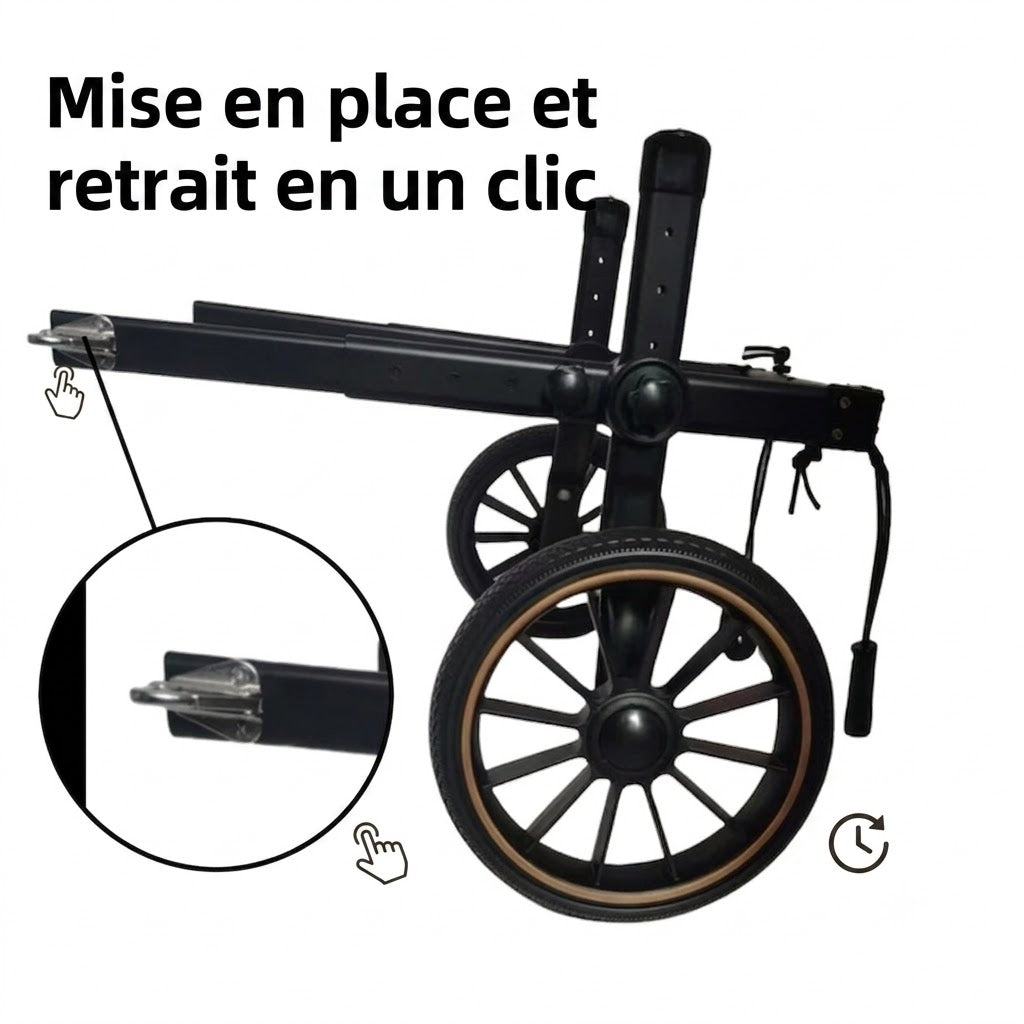 Fauteuil Roulant pour Chien – Réhabilitation Pattes Arrière, Grandes Tailles
