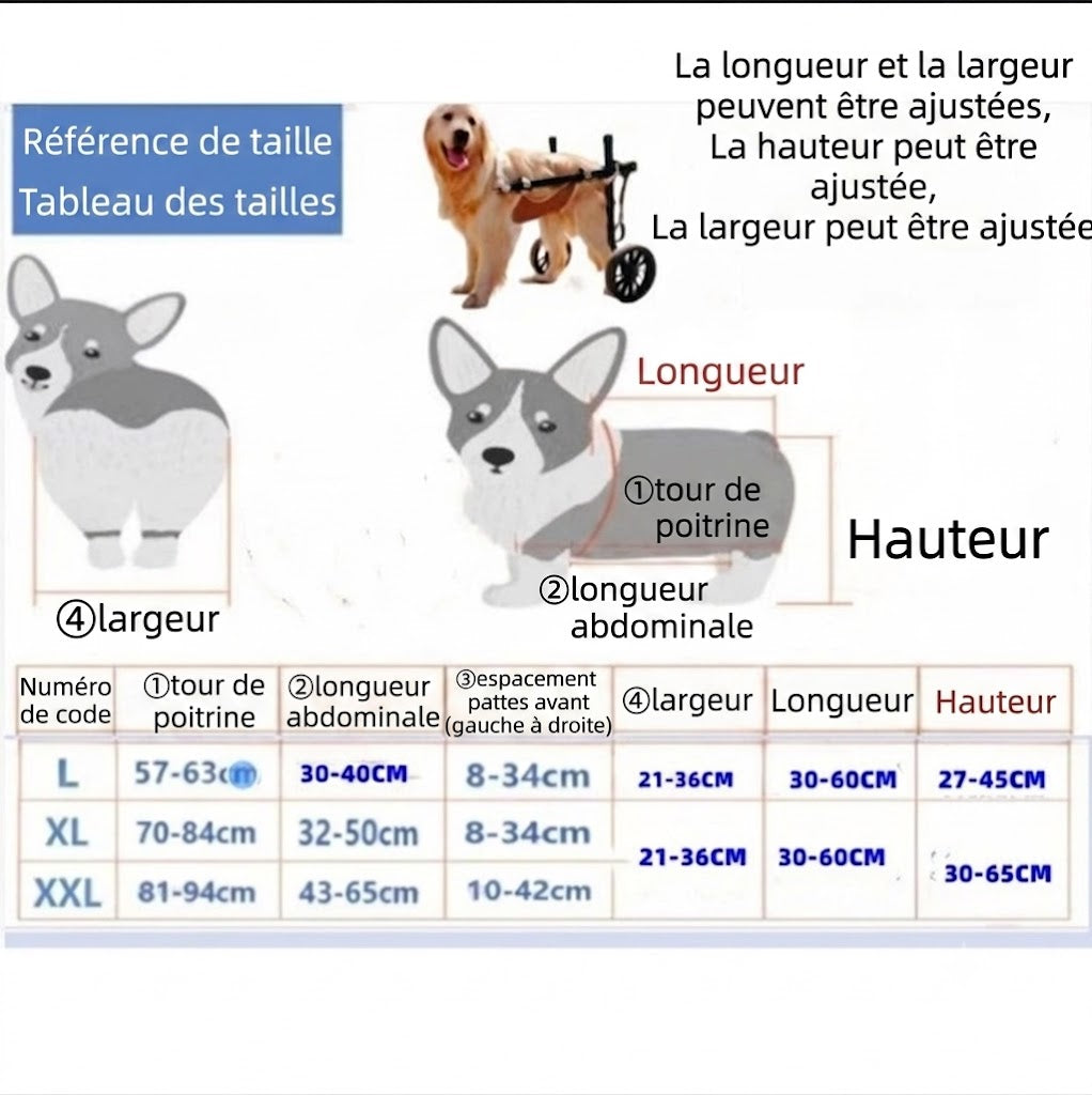 Fauteuil Roulant pour Chien – Réhabilitation Pattes Arrière, Grandes Tailles