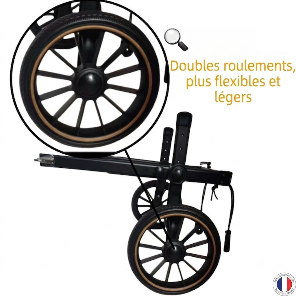 Fauteuil Roulant pour Chien – Réhabilitation Pattes Arrière, Grandes Tailles