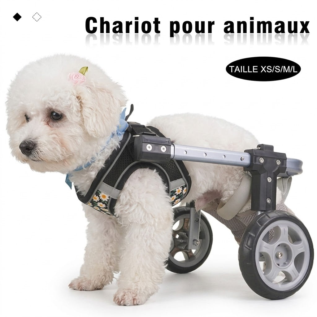Fauteuil roulant pour pieds arrière, Support auxiliaire arrière, pour animaux de compagnie handicapés, rééducation par paralysie, fauteuil roulant léger pour chien