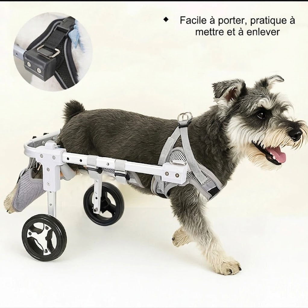 Fauteuil roulant pour pieds arrière, Support auxiliaire arrière, pour animaux de compagnie handicapés, rééducation par paralysie, fauteuil roulant léger pour chien