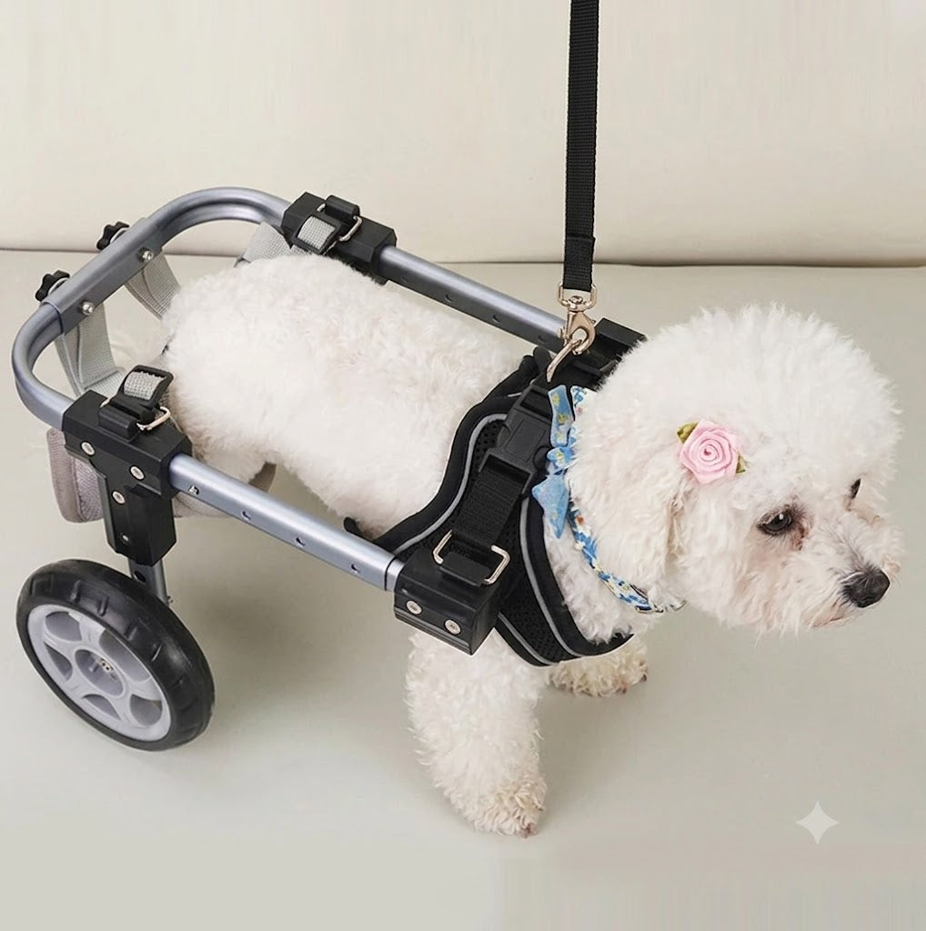 Fauteuil roulant pour pieds arrière, Support auxiliaire arrière, pour animaux de compagnie handicapés, rééducation par paralysie, fauteuil roulant léger pour chien