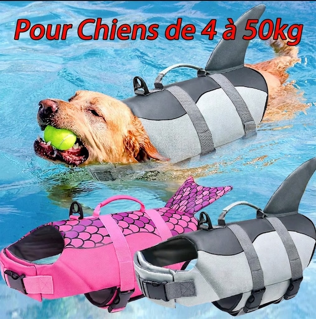 Gilet de Sauvetage Fantaisie pour Chien – Requin ou Sirène 🦈🧜‍♀️