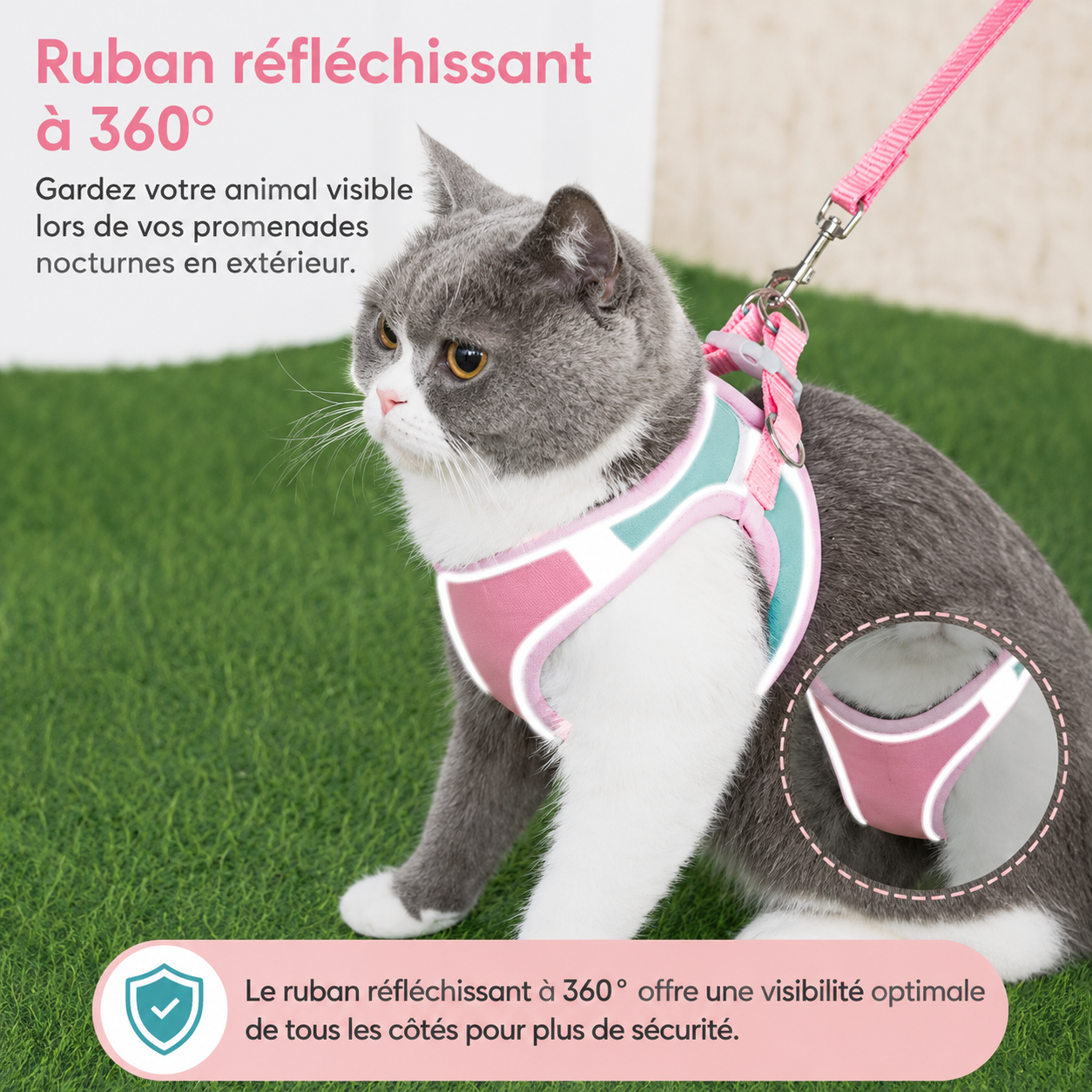Harnais Réfléchissant pour Chat et Chaton – Visible et en sécurité