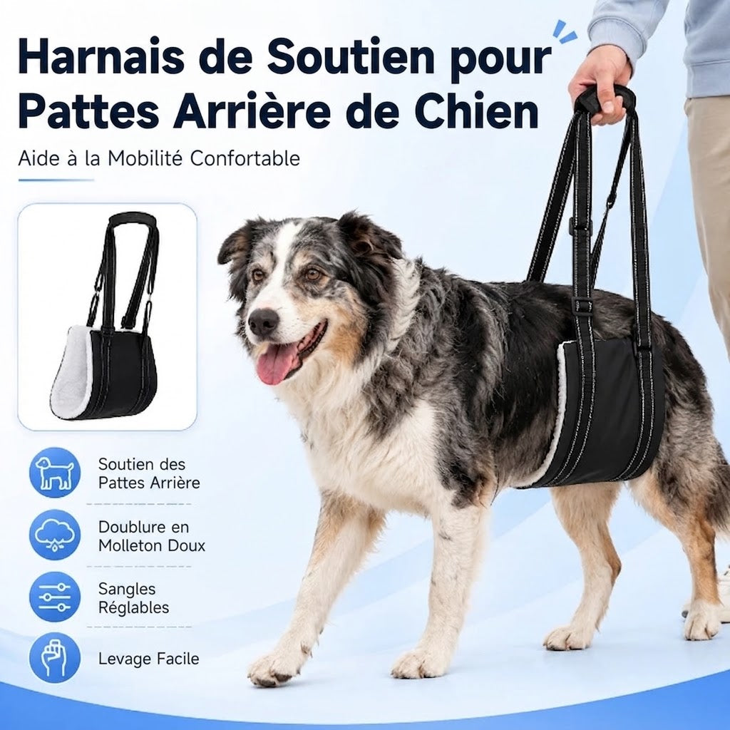 Harnais de Soutien Pattes Arrière – Aide à la Mobilité pour Chien Senior ou Convalescent