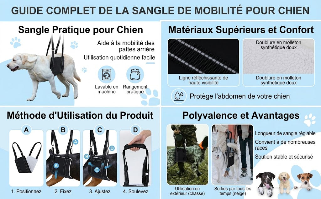 Harnais de Soutien Pattes Arrière – Aide à la Mobilité pour Chien Senior ou Convalescent