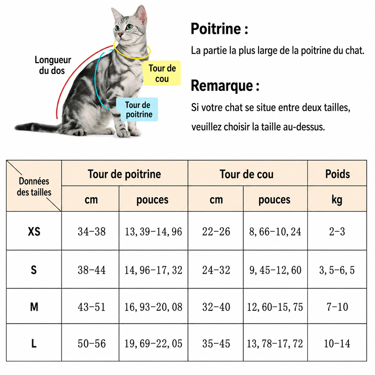 Harnais et Laisse pour Chat et Petit Chien – Prêt pour la balade