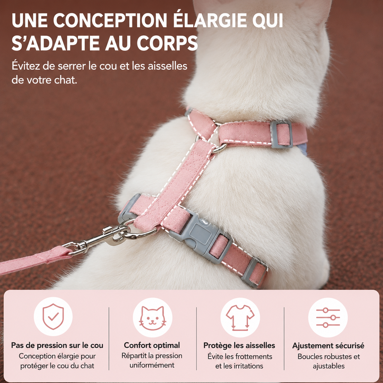 Harnais et Laisse pour Chat et Petit Chien – Prêt pour la balade