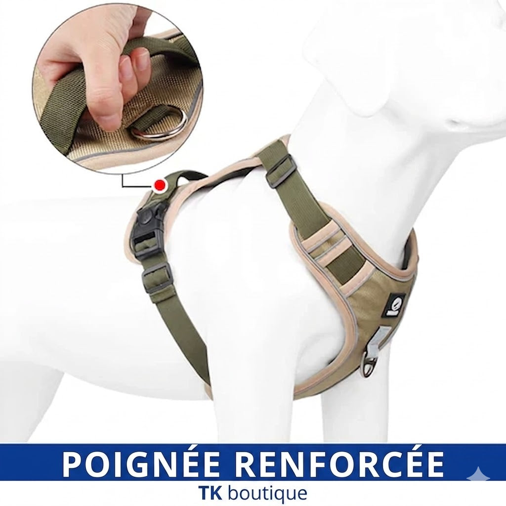 Harnais Gilet Réfléchissant pour Chien