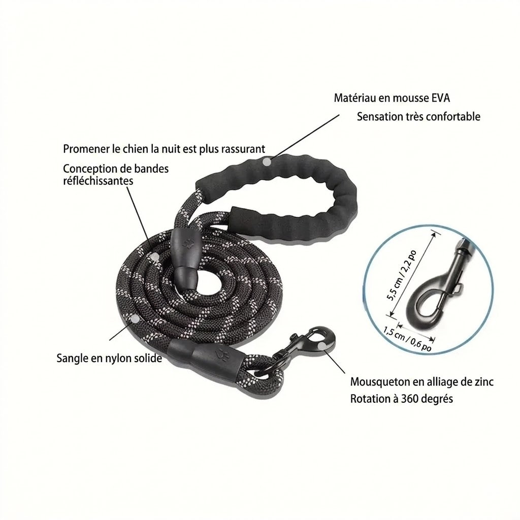 Laisse Courte pour Chien – Proche et en sécurité