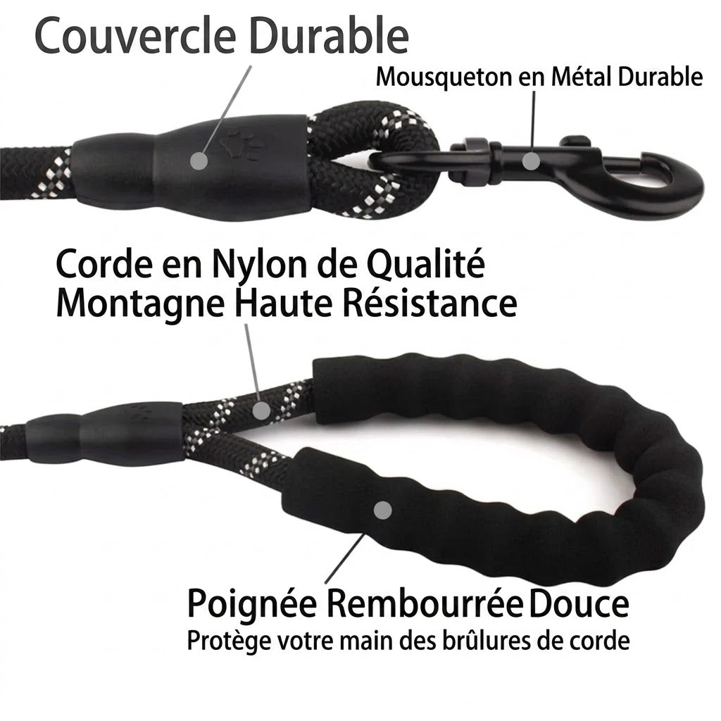 Laisse Courte pour Chien – Proche et en sécurité