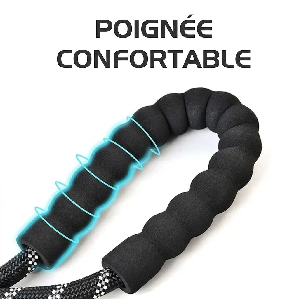 Laisse Courte pour Chien – Proche et en sécurité
