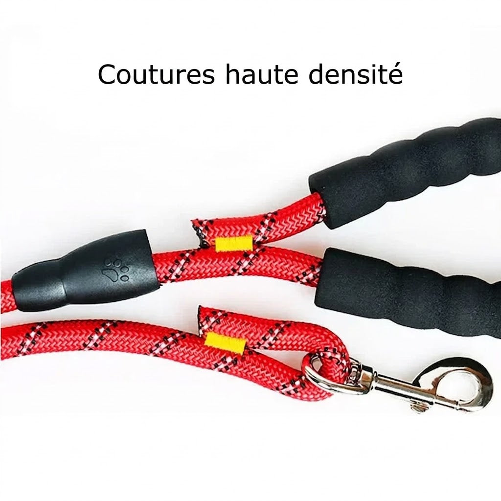 Laisse Courte pour Chien – Proche et en sécurité