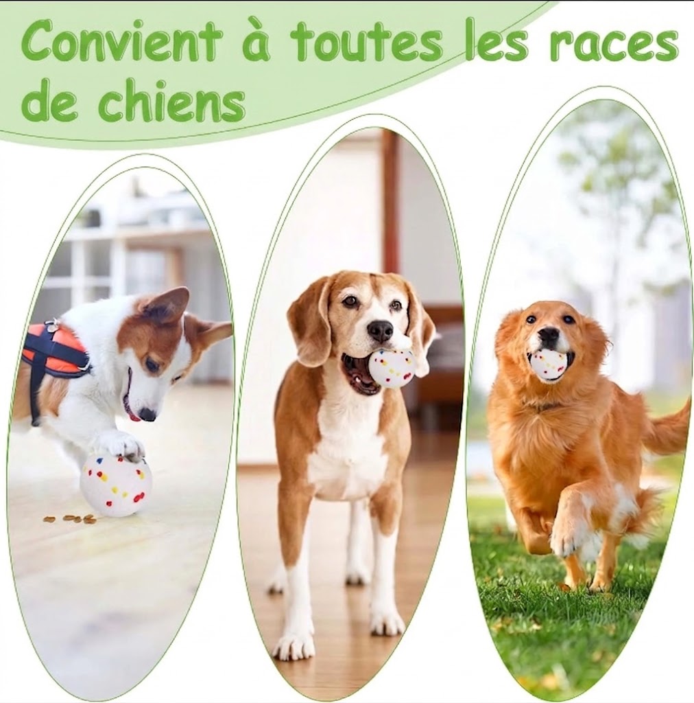 Lanceur Automatique de Balles pour Chien – 3 Distances, Capteur Infrarouge, 3 Balles Incluses