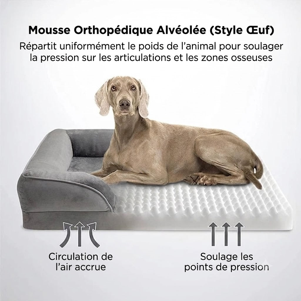 Lit Orthopédique pour Chien – Mousse Mémoire de Forme & Soutien Articulaire