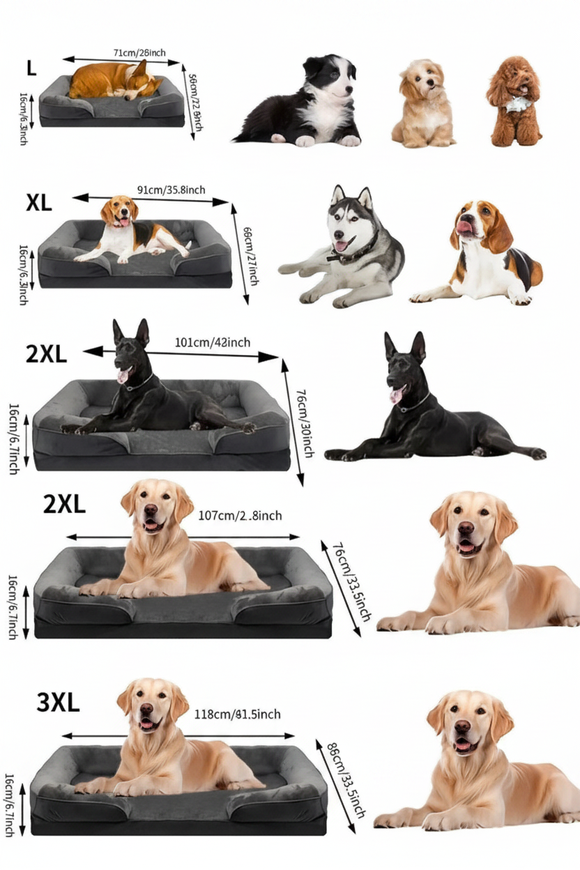 Lit Orthopédique pour Chien – Mousse Mémoire de Forme & Soutien Articulaire