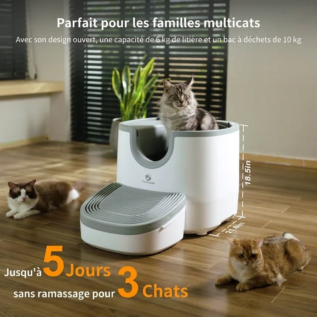 Litière Autonettoyante pour Chat – Ouverte, Idéale Multi-Chats