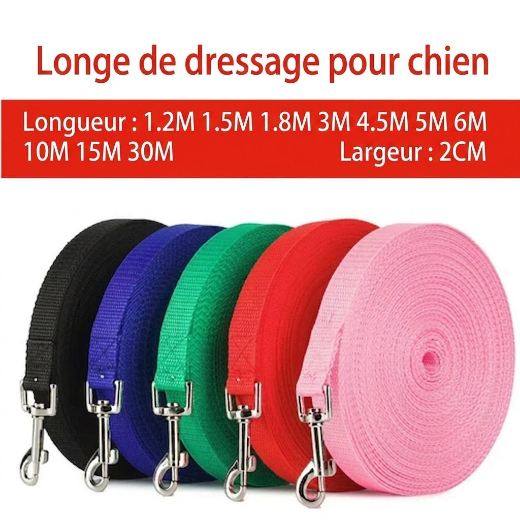 Laisse Longue d'Entraînement pour Chien – Pour les grands espaces